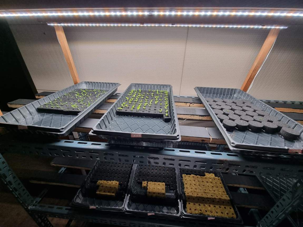 KHAN AG smart farm