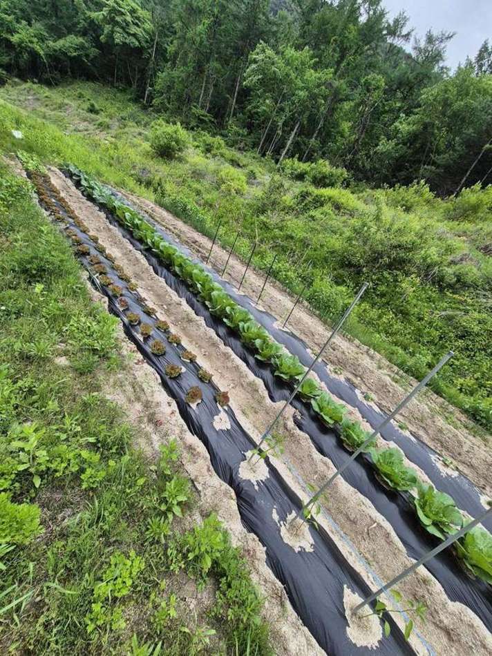 KHAN AG smart farm