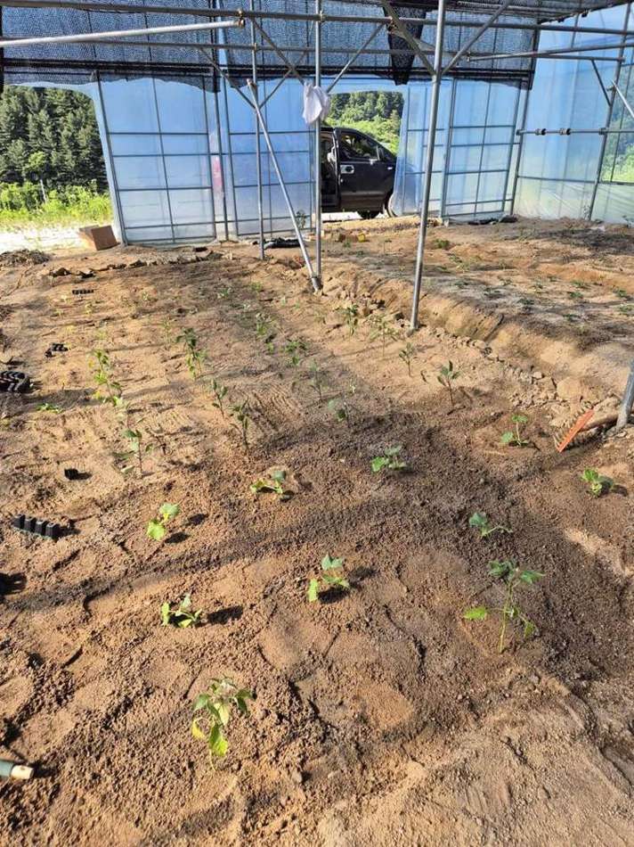 KHAN AG smart farm