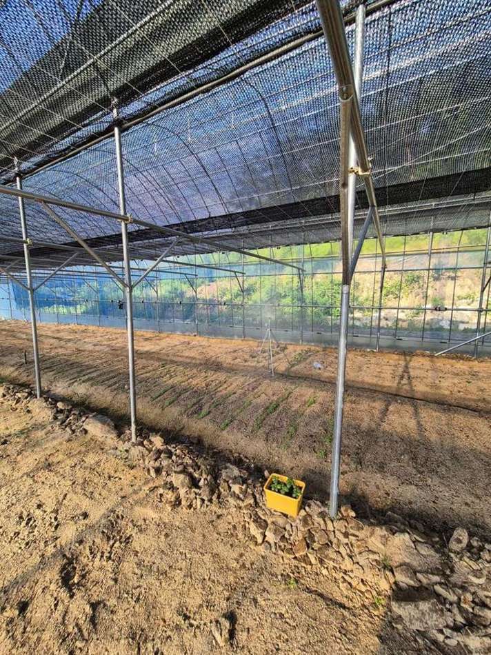 KHAN AG smart farm