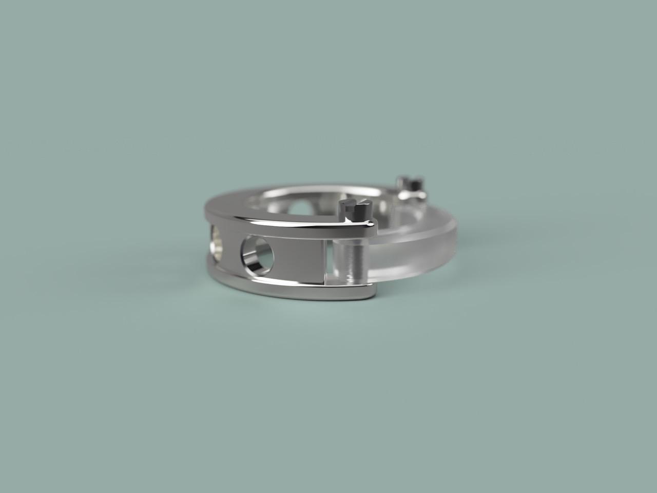Ecrivan and Narcissus jewelry
