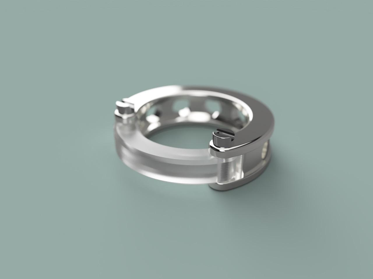 Ecrivan and Narcissus jewelry