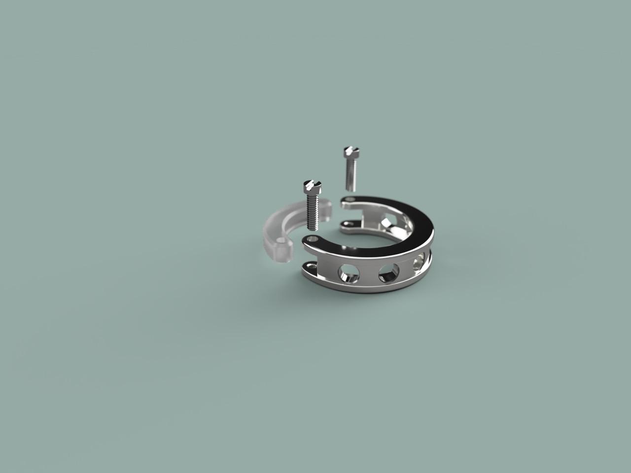 Ecrivan and Narcissus jewelry