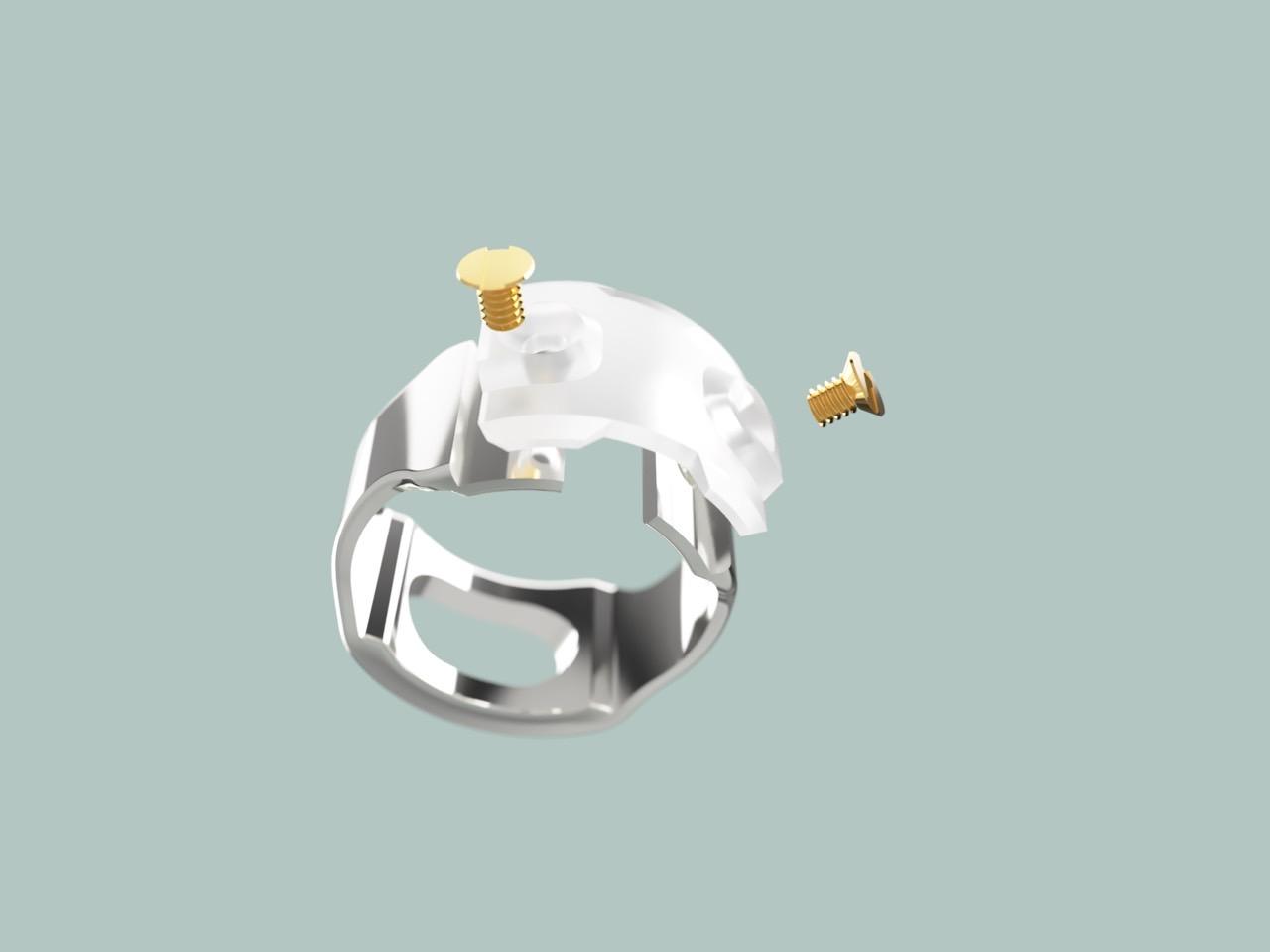 Ecrivan and Narcissus jewelry