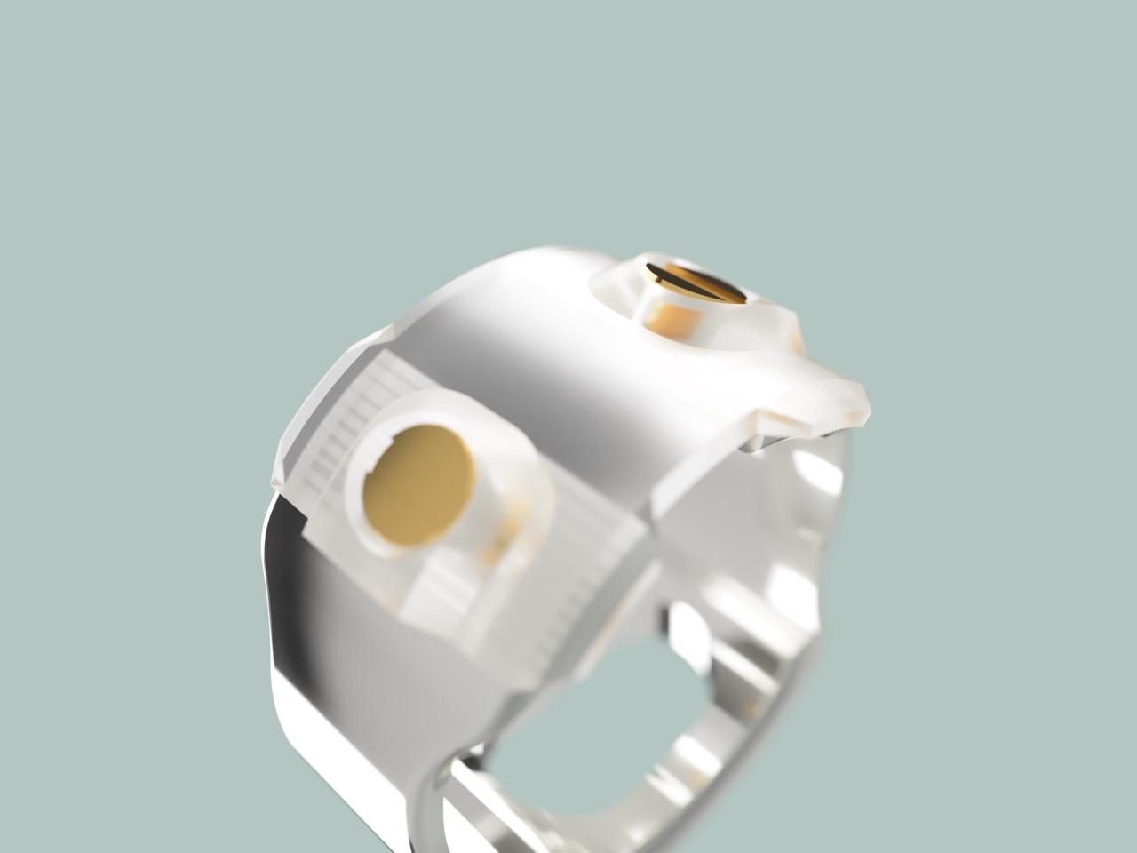 Ecrivan and Narcissus jewelry