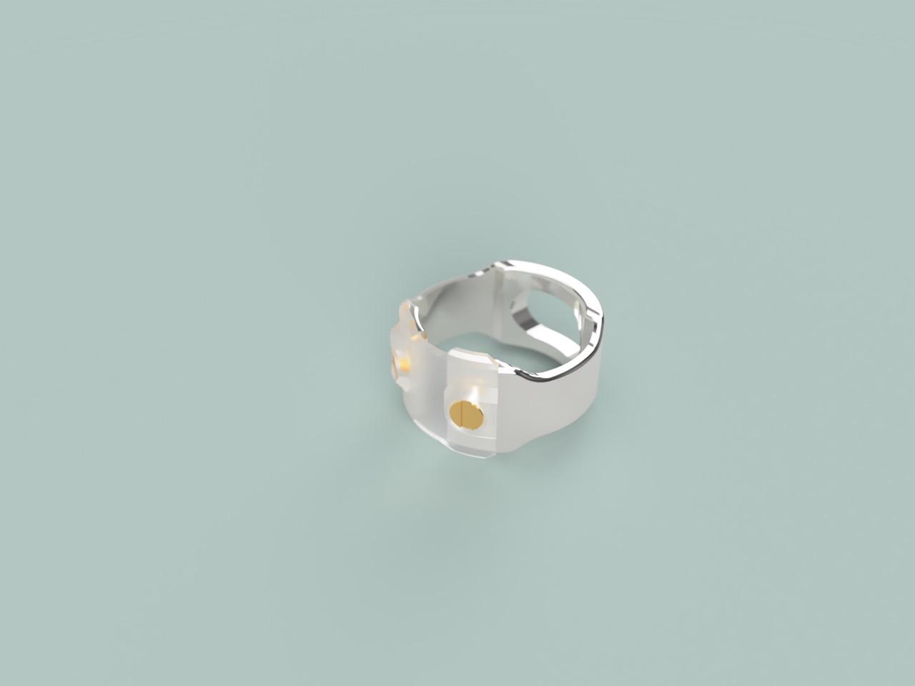 Ecrivan and Narcissus jewelry
