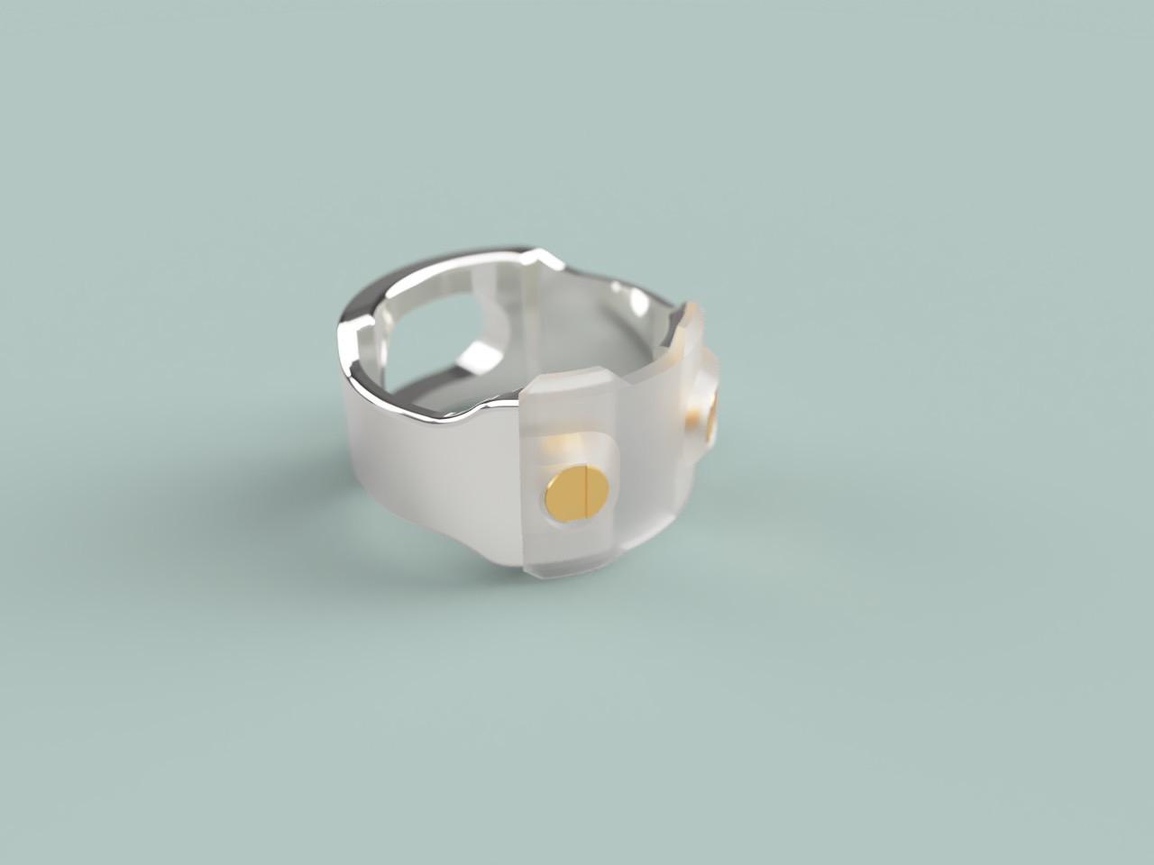 Ecrivan and Narcissus jewelry