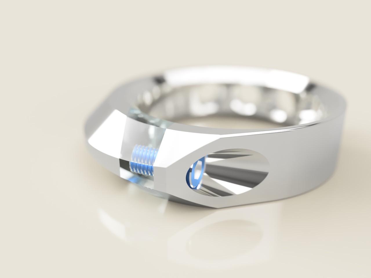 Ecrivan and Narcissus jewelry