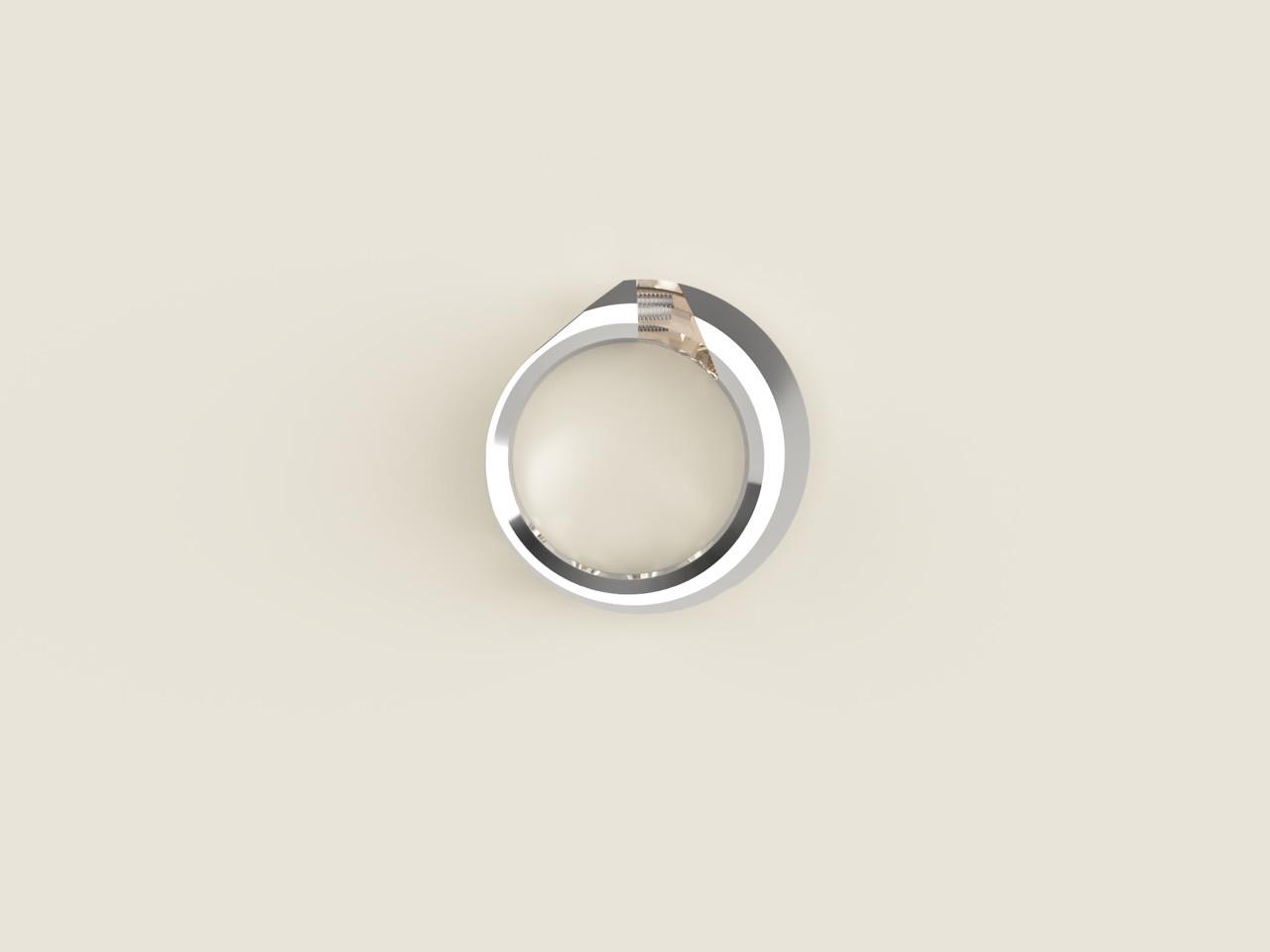 Ecrivan and Narcissus jewelry