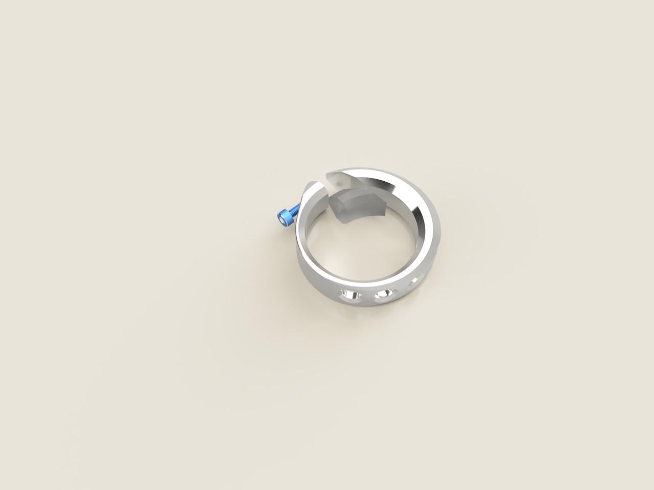 Ecrivan and Narcissus jewelry