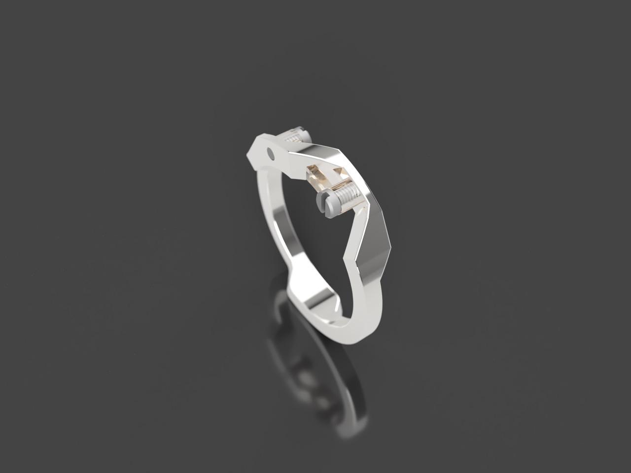 Ecrivan and Narcissus jewelry