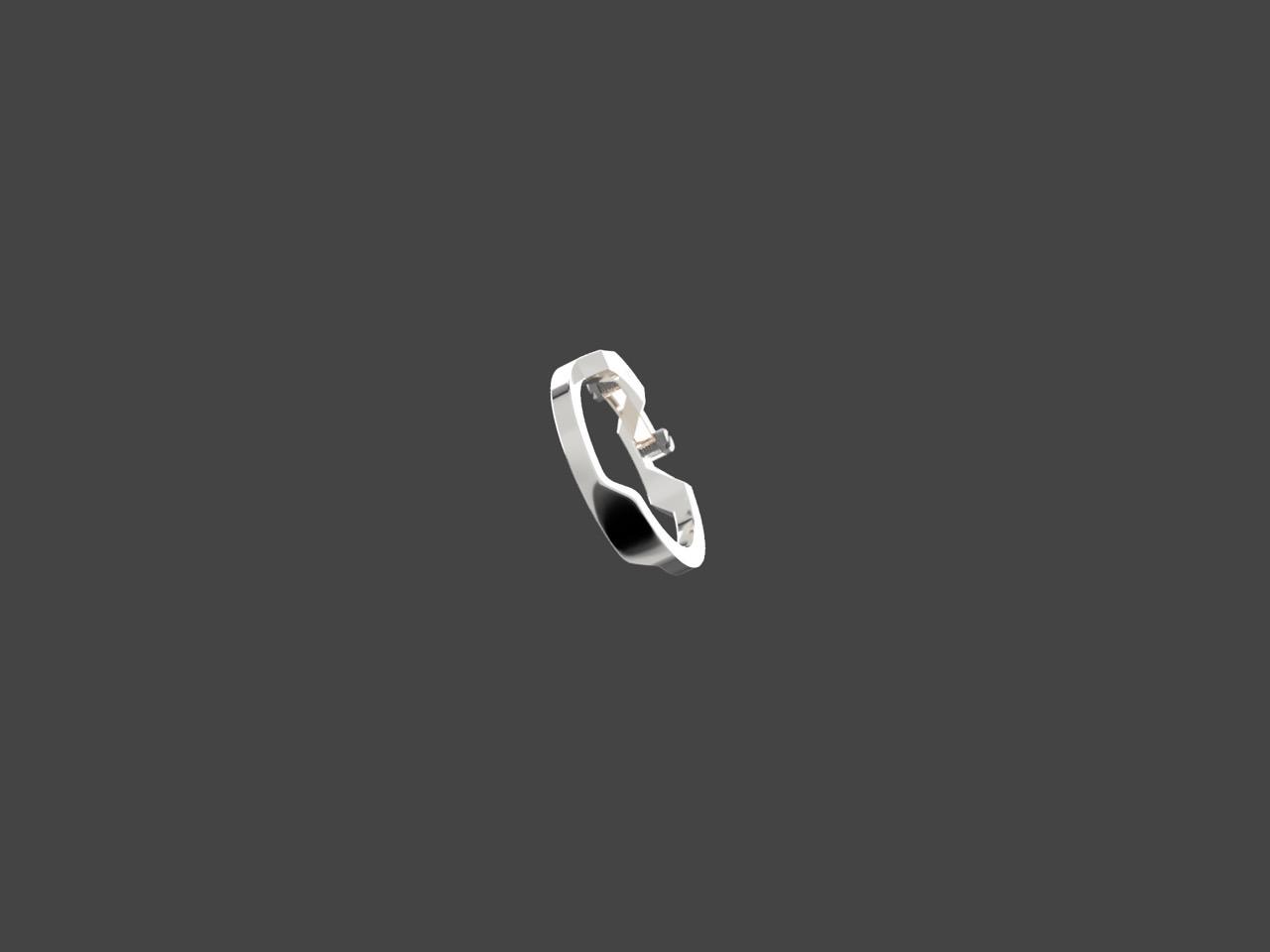 Ecrivan and Narcissus jewelry