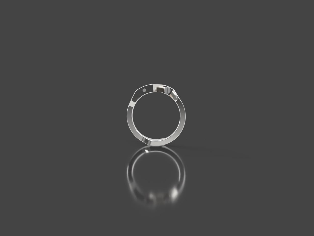 Ecrivan and Narcissus jewelry