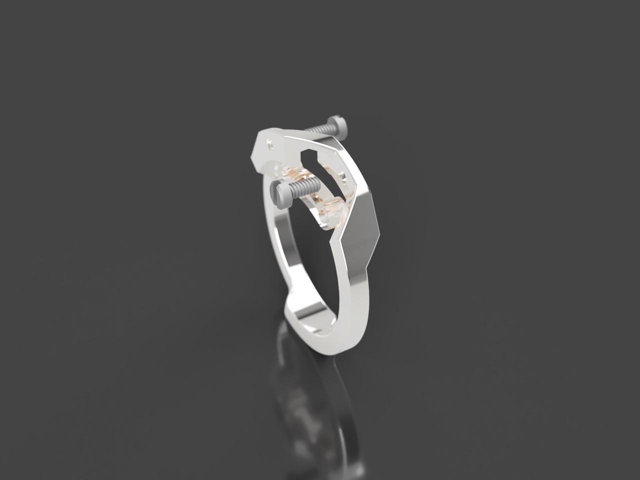 Ecrivan and Narcissus jewelry